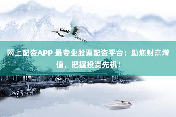 网上配资APP 最专业股票配资平台：助您财富增值，把握投资先机！