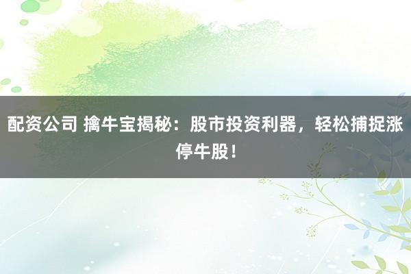 配资公司 擒牛宝揭秘：股市投资利器，轻松捕捉涨停牛股！