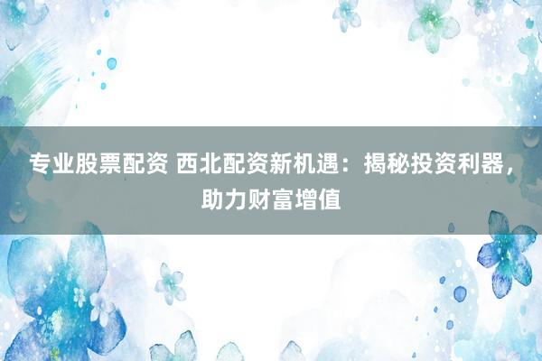 专业股票配资 西北配资新机遇：揭秘投资利器，助力财富增值