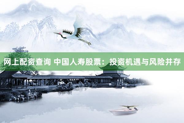 网上配资查询 中国人寿股票：投资机遇与风险并存