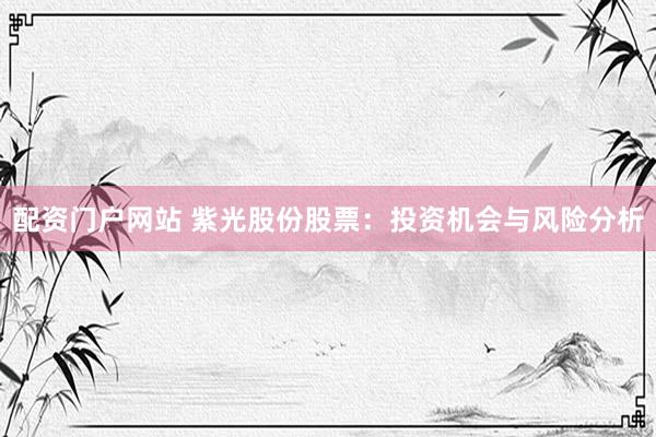 配资门户网站 紫光股份股票：投资机会与风险分析