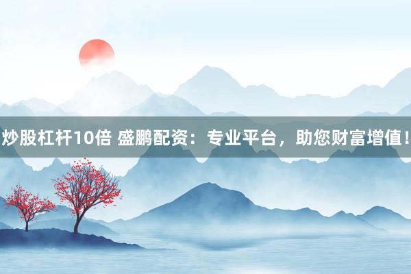 炒股杠杆10倍 盛鹏配资:专业平台,助您财富增值!