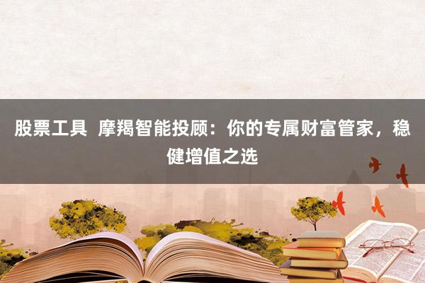 股票工具 摩羯智能投顾:你的专属财富管家,稳健增值之选