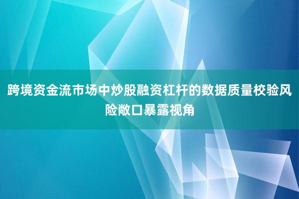 跨境资金流市场中炒股融资杠杆的数据质量校验风险敞口暴露视角