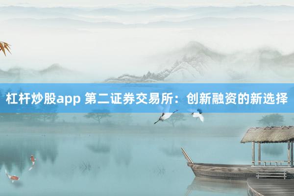 杠杆炒股app 第二证券交易所：创新融资的新选择